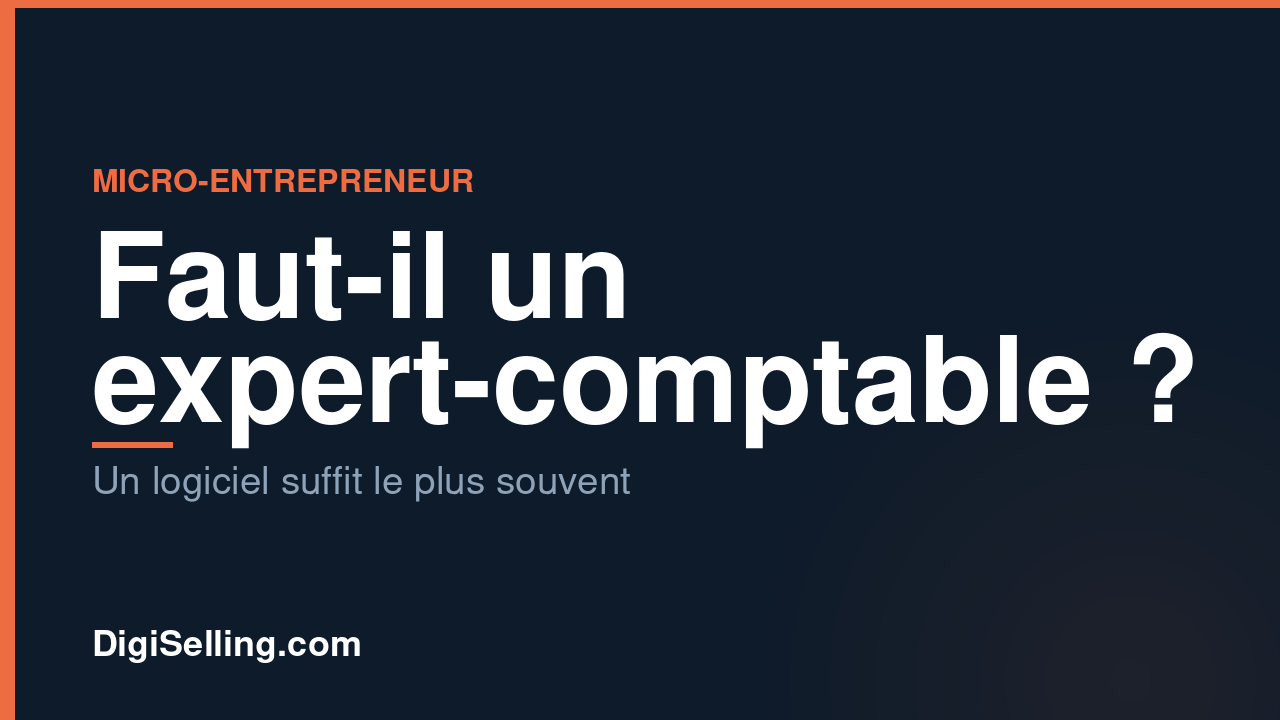 Micro-entrepreneur
